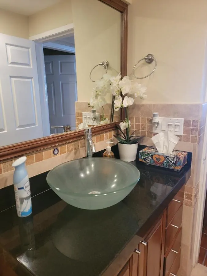 Best Location In Medano Beach -Marina Sol Lrg 2 Bed Steps To Beach, Downtown & Marina Cabo San Lucas 0*,